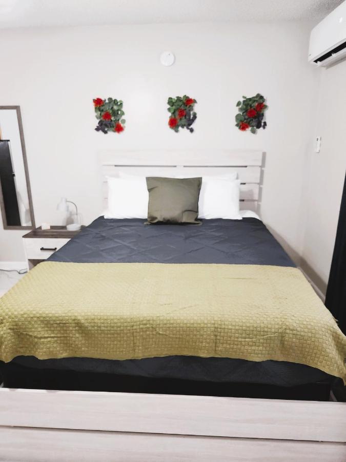 Adorable Mini Suite In Tampa Exterior foto